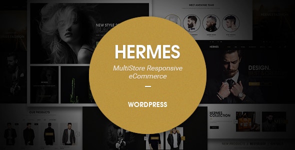 Hermes - Multi-Purpose Premium Responsive WordPress Theme 1
