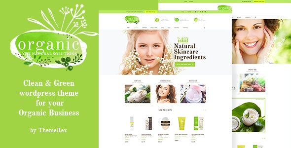 Organic Beauty Store & Natural Cosmetics WordPress Theme 1